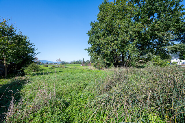 Schönes Baugrundstück zu verkaufen