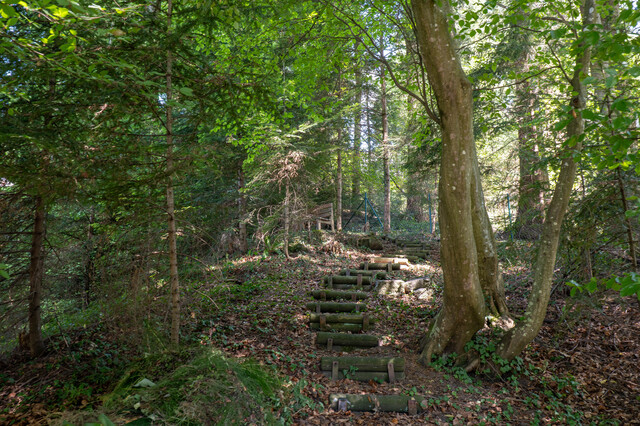 Wo Ruhe Raum bekommt – gepflegtes Einfamilienhaus mit eigenem Wald