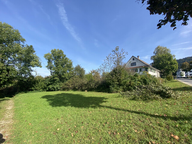 Baugrundstück mit Seeblick | Altbestand