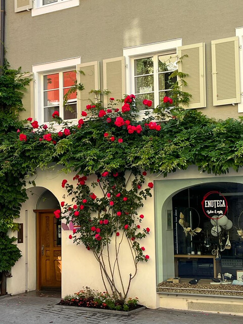 Büro/Praxis/Therapieflächen in einem historischen Altstadthaus mitten in Bludenz!