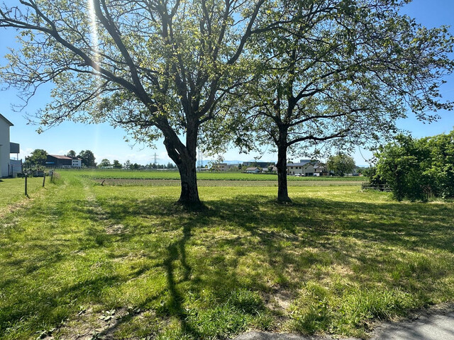 Wohnen am Bodensee - TOP 05 - 3 Zimmer Wohnung