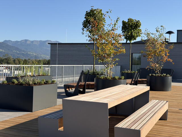 Zwischen Ried und See: 3 Zimmer, viel Grün & eine Dachterrasse, die alles andere als gewöhnlich ist.