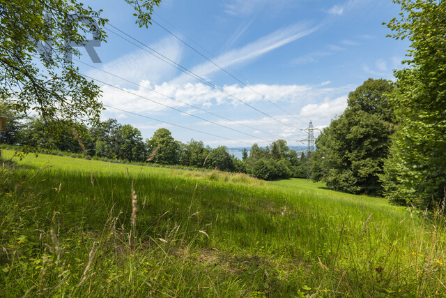 Grundstück am Pfänderhang mit Blick auf den Bodensee