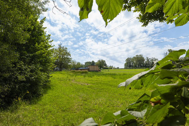 Grundstück am Pfänderhang mit Blick auf den Bodensee