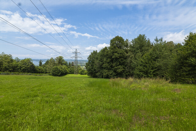 Grundstück am Pfänderhang mit Blick auf den Bodensee