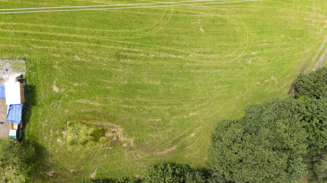 Grundstück am Pfänderhang mit Blick auf den Bodensee