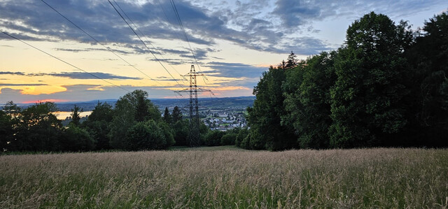 Grundstück am Pfänderhang mit Blick auf den Bodensee