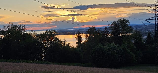 Grundstück am Pfänderhang mit Blick auf den Bodensee