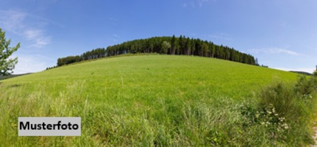 Land- und Forstflächen mit vielseitig nutzbaren Wirtschaftsgebäuden, Scheune & Stahlcontainer