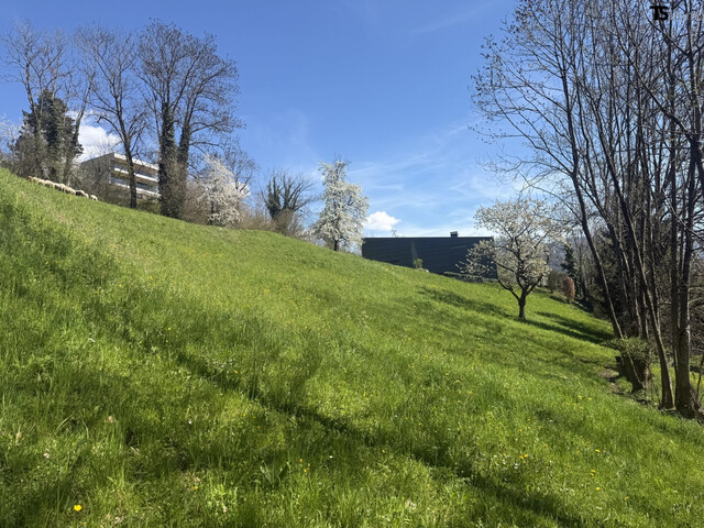 Klaus: 835 m² Baugrundstück in Top-Hanglage – seltene Gelegenheit