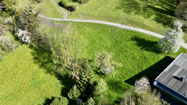 Klaus: 835 m² Baugrundstück in Top-Hanglage – seltene Gelegenheit