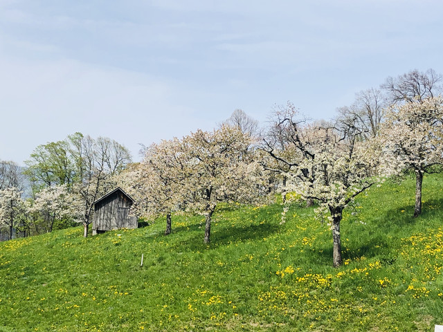 5 Zimmer Wohnung "Traumaussicht"