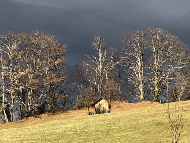 5 Zimmer Wohnung "Traumaussicht"