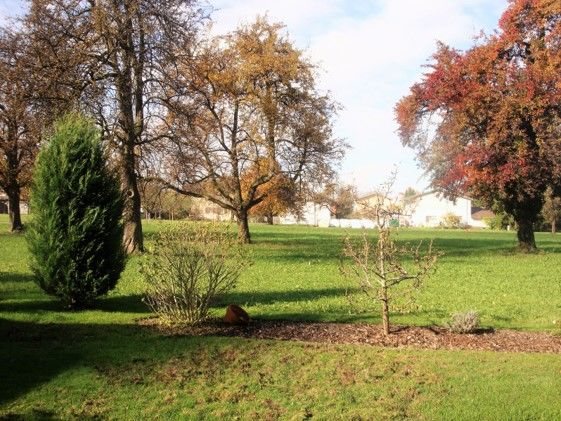 Ruhig gelegene Eck-Gartenwohnung in Götzis