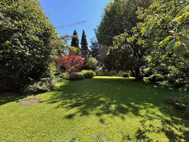 Sonniges Baugrundstück mit Altbestand