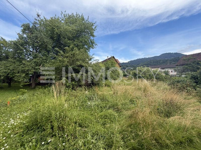 Grundstückspaket in Sulz