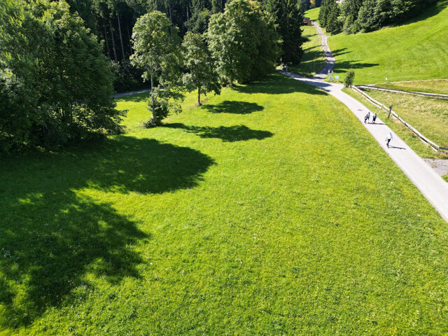 Seltene Gelegenheit - Sonniges Liebhaber-Grundstück mit traumhafter Aussicht am Pfänder / Bodensee