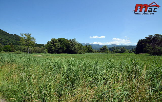 Mehrfamilienhaus zum Grundstückspreis am Naturschutzgebiet