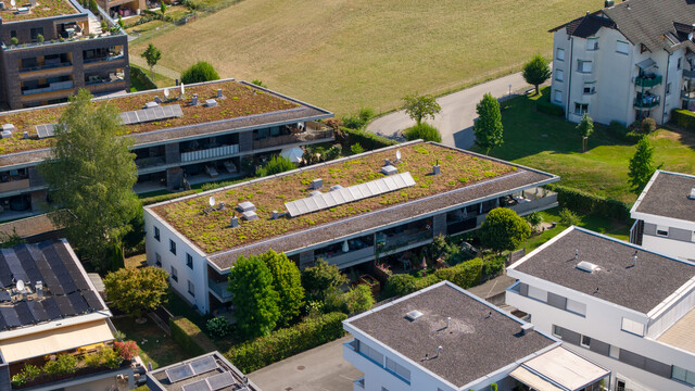 Traumhafte 5-Zimmer-Wohnung mit über 50 m² großer Terrasse