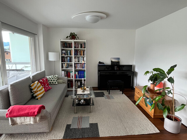 Schöne Dachgeschoss-Wohnung (Flachdach) in Mäder