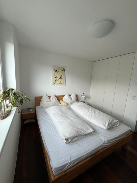 Schöne Dachgeschoss-Wohnung (Flachdach) in Mäder