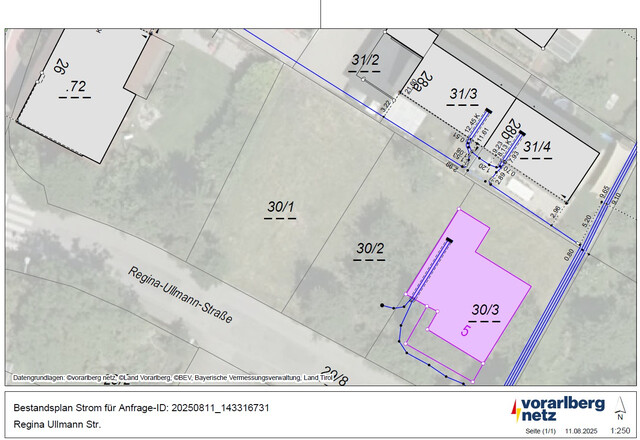 Grundstück in bester Lage von Hohenems mit vielseitigen Möglichkeiten