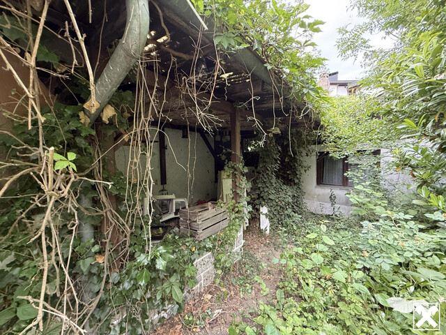 Interessantes Grundstück mit Altbestand im Baumischgebiet
