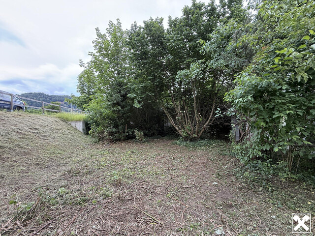 Interessantes Grundstück mit Altbestand im Baumischgebiet