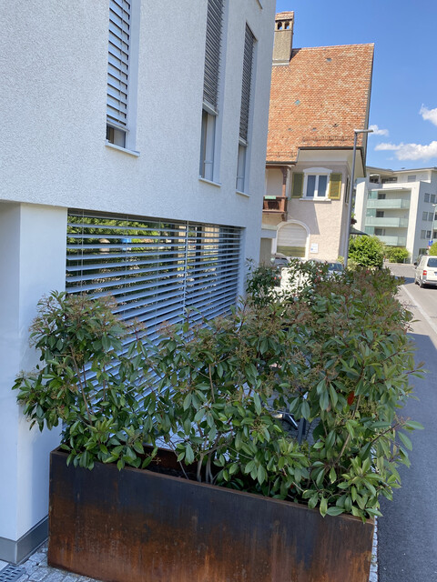 Smarte 2-Zi Wo. - 2 Minuten zu Fuß zum Marktplatz 