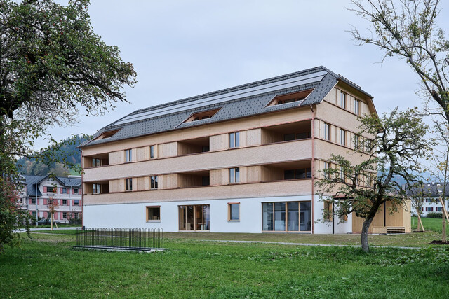 NEUBAU 3-Zimmer-Wohnung mit Terrasse und traumhaftem Sonnenuntergang in Lingenau zum Kauf