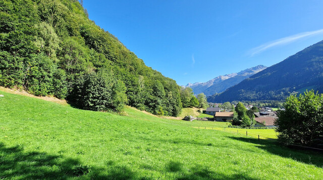 Wald, Wiesen- und Freiflächen zu verkaufen 