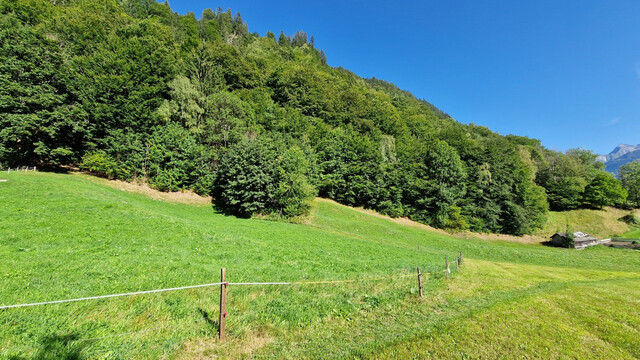 Wald, Wiesen- und Freiflächen zu verkaufen 