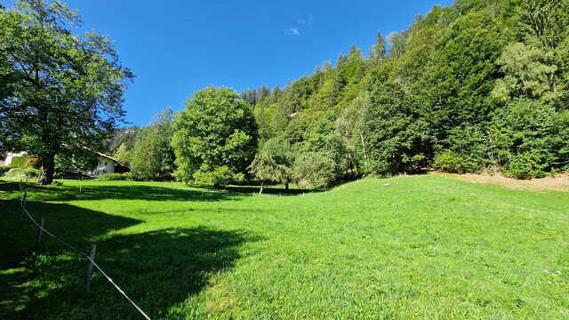 Wald, Wiesen- und Freiflächen zu verkaufen 