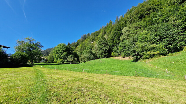 Wald, Wiesen- und Freiflächen zu verkaufen 