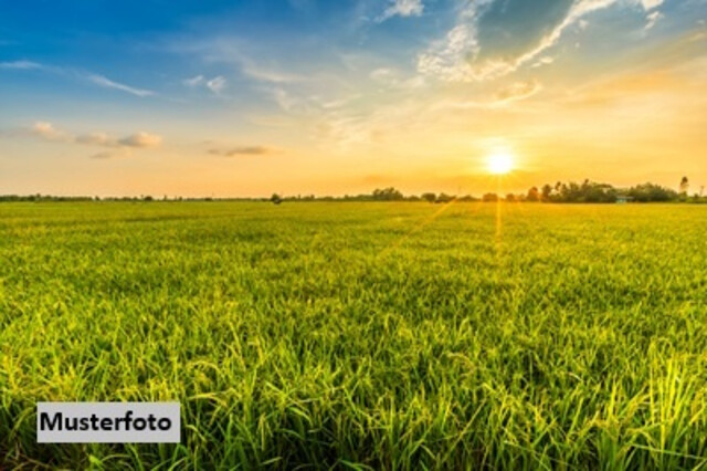 Landwirtschaftlich genutztes Grundstück + provisionsfrei +