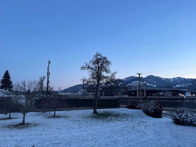 Sonnige 4 Zi Wohnung, Südwestbalkon, zentrale Lage in Rankweil