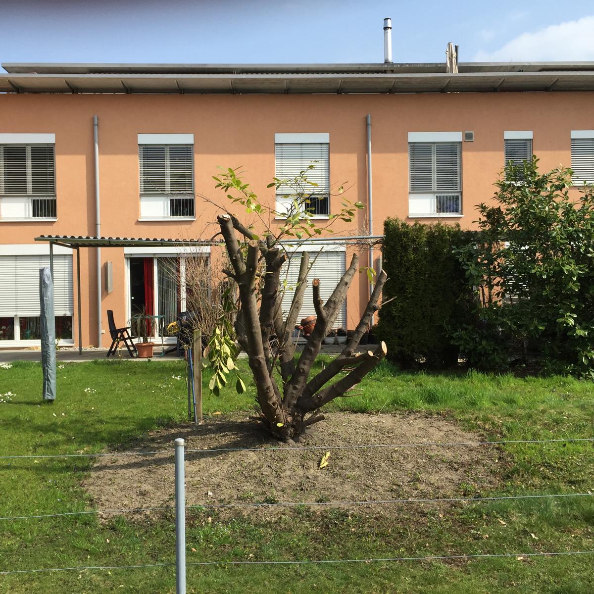 Schöne 3-Zimmer-Gartenwohnung (Erdgeschoss) in Feldkirch-Gisingen / Waldrandnähe zu vermieten