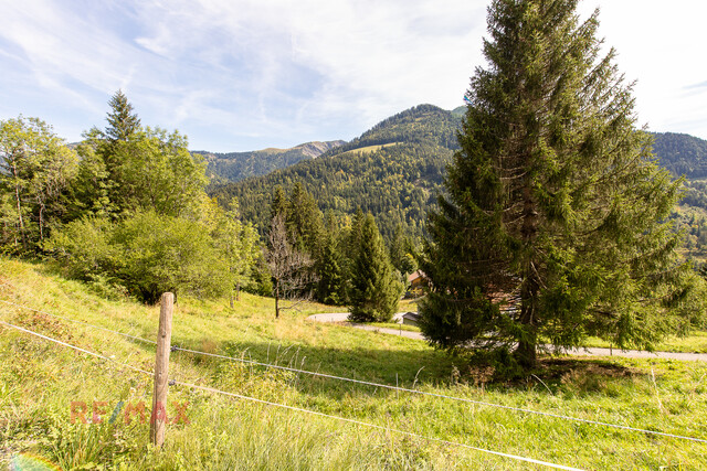 Ankommen und Ausspannen auf 950 m² Naturglück