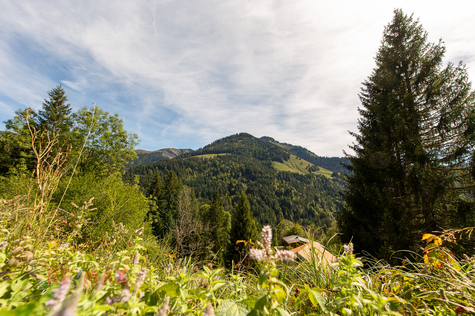 Ankommen und Ausspannen auf 950 m² Naturglück