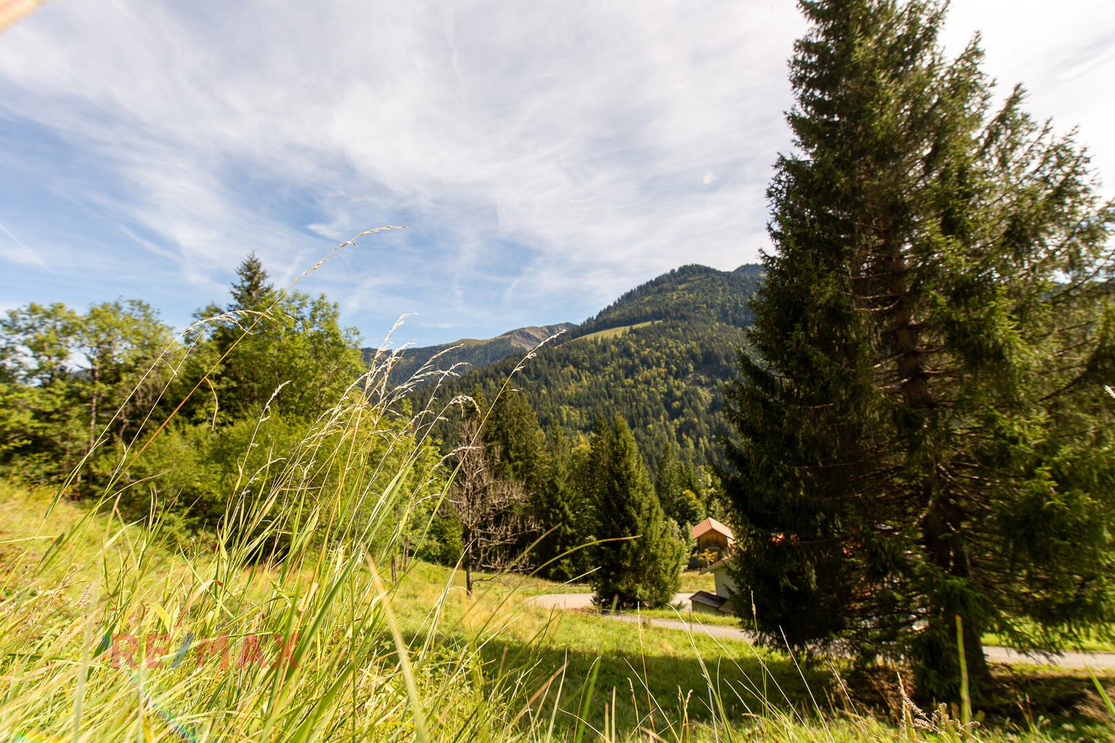 Ankommen und Ausspannen auf 950 m² Naturglück