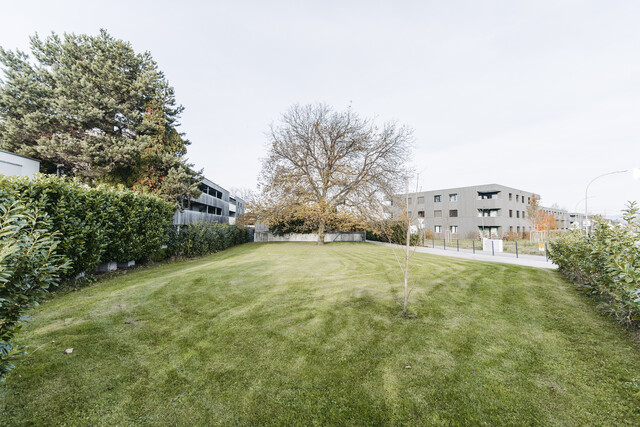 Großes Bauland (BM) mit modernisiertem Bungalow + Wirtschaftsgebäude