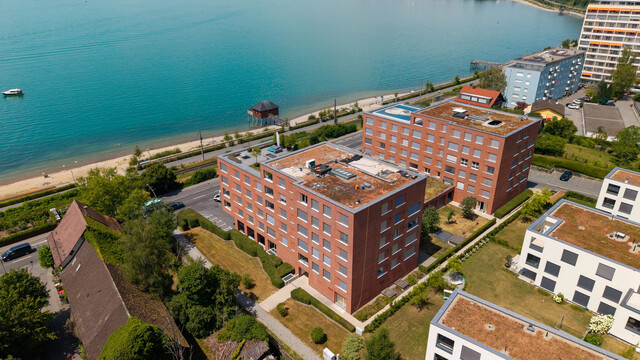 Wohnen, wo andere Urlaub machen – Traumwohnung direkt am Bodensee