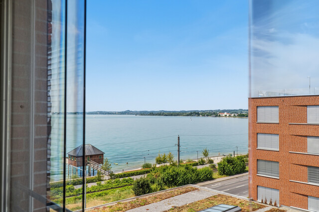 Wohnen, wo andere Urlaub machen – Traumwohnung direkt am Bodensee