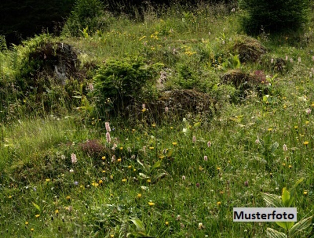 Unbebautes Grundstück