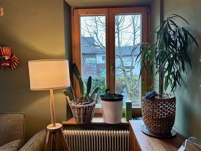 Großzügiges Wohnhaus mit großer Tenne mitten in Gisingen