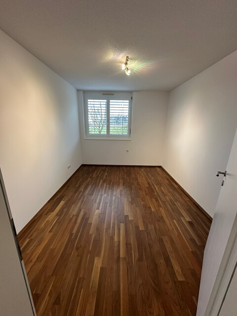 Eindrucksvolle 4 1/2-Zimmergartenwohnung mit Charme mit hochwertiger Ausstattung im Wolfurter Oberfeld