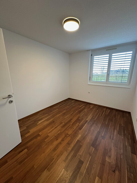 Eindrucksvolle 4 1/2-Zimmergartenwohnung mit Charme mit hochwertiger Ausstattung im Wolfurter Oberfeld