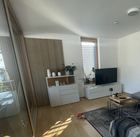 Schöne Penthousewohnung mit großer Terrasse in Lochau, ab sofort verfügbar