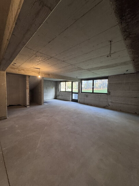 Wohnen & Arbeiten vereint: Villa mit Büro und Hobbyflächen in Götzis!