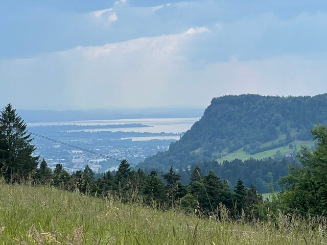 Einzigartiges Grundstück in Buch mit Rundumblick bis zum Bodensee